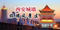 午夜精品18禁www中国陕西-西安城墙旅游风景区