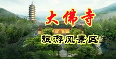 啊啊使劲日骚逼视频中国浙江-新昌大佛寺旅游风景区